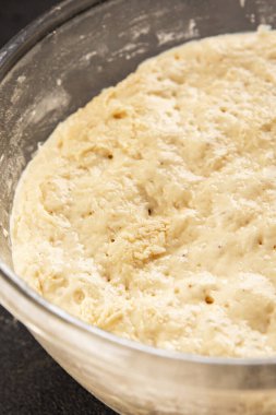 Çiğ hamur mayası mayalı mayalı başlangıç lezzetli aperatif taze gurme yemek arkaplanı masa rustik gıda üst görünümü fotokopi uzay pazarlama konsepti fotoğrafı