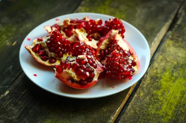 Nar, çam ağacı, arka plan, ruh hali