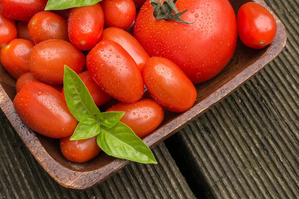 Tomaten mit Wassertropfen in einer Holzschale — Stockfoto