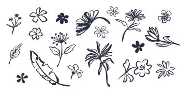 El çizimi botanik karalama seti. Çiçekler, yapraklar, şifalı bitkiler ve basit sanat tarzında dallar. Beyaz arka planda siyah mürekkep çiçekleri var. Logolar, ambalaj, kırtasiye, baskılar ve yüzey tasarımı için mükemmel.