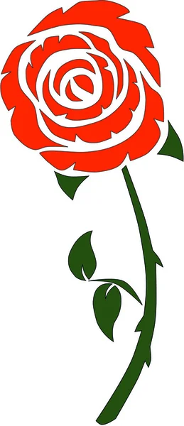 Rosa, flor, planta, patrón — Vector de stock