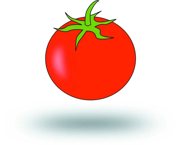 Nourriture, aliment, objet, illustration, légume, alimentation, végétarien, tomate — Image vectorielle