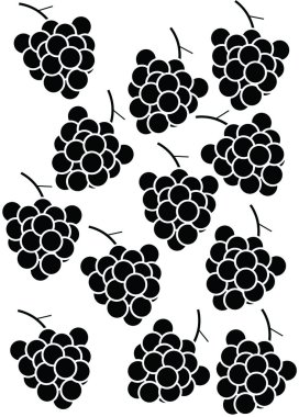 üzüm, beyaz arka plan, grup, berry