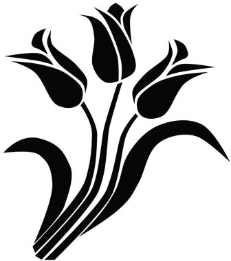 Lale, çiçek, bitki, kök