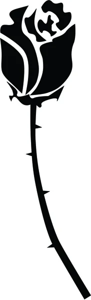 Gül, buket, bud, çiçekler, bitkiler, çizim