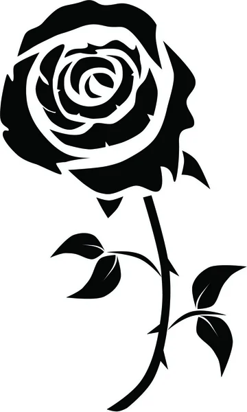 Gül, buket, bud, çiçekler, bitkiler, çizim