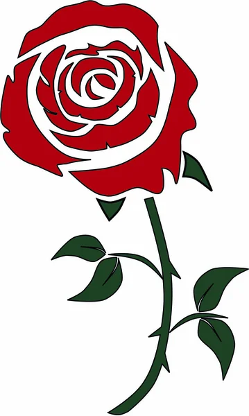 Rosa, rojo, flor, brote, pétalos — Vector de stock