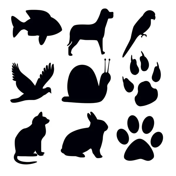 Silhouettes animal sur fond blanc — Photo