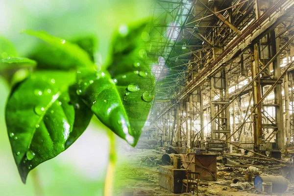 古い放棄された産業ワークショップの背景にある緑の植物 自然への人間活動の影響という概念 ストック写真