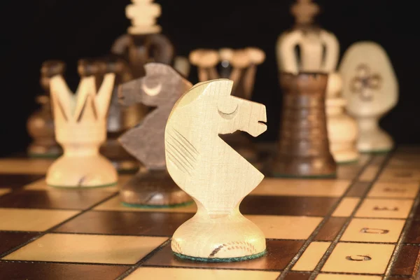 체스 조각  . — 스톡 사진