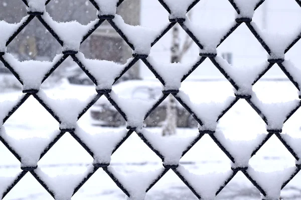 Vlokken van de witte sneeuw op de ijzeren staven — Stockfoto