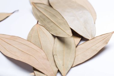 Yaprak Baharatı gelişigüzel düzenlenmiş, Talal Patra, Tarçın Tamala