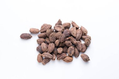 Masala velchi (Elettaria cardamomum) beyaz bcakground 'a karşı yassı