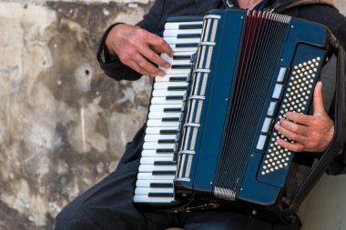 Bir akordeon oynayan sokak müzisyeni