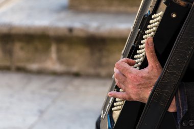 Bir akordeon oynayan sokak müzisyeni