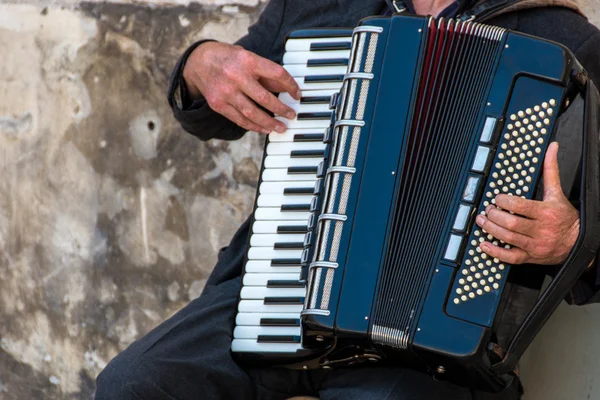 Utcai zenész játszik egy harmonika — Stock Fotó