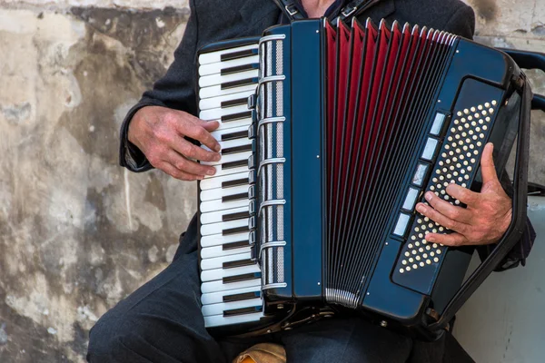 Musicien de rue jouant un accordéon Image En Vente