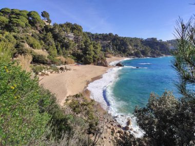 Yarı şehir plajı, Santa Maria del Llorell, Tossa de Mar 'da, doğa ve kayalarla çevrili ince ve altın kumu olan..