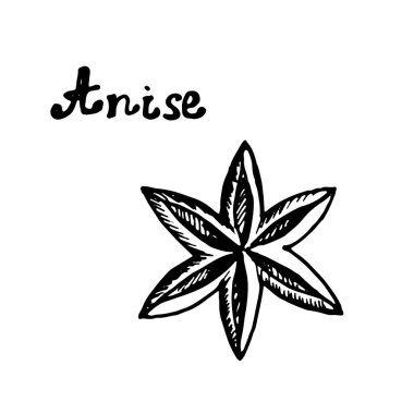 Karalama stili el çizimi vektörlü anason yıldızı. Yemekler için güzel kokulu baharat. El yazısıyla yazılmış harfler.