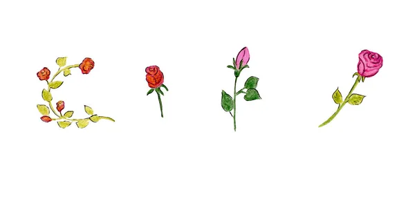 Події Відбуваються Чотирма Трояндами Рожеві Гілочки Листям Рожеві Червоні Троянди — стокове фото