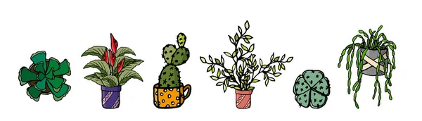 Domácí rostliny. Sada s vnitřními rostlinami Kaktus, šťavnaté a exotické květiny. a další ve stylu čmáranice a kresleného filmu. Domácí design. Ruční kresba vektoru. — Stockový vektor
