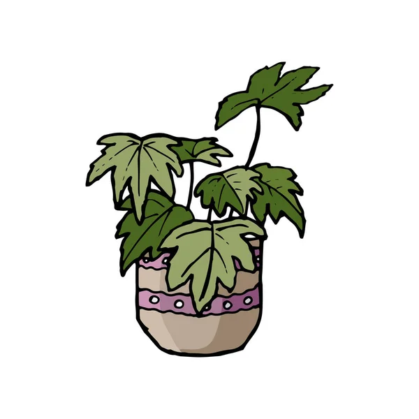 落書きスタイルのホームプラント 大きな葉を持つ植物 鍋に観賞用の植物 手描き クリップアート 花のアイコン ベクトル 鉢植え — ストックベクタ