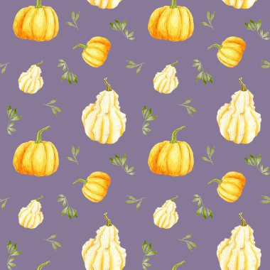 Yumuşak mor bir arka planda suluboya sonbahar balkabağı pürüzsüz deseni. Yapraklı turuncu kabak ve armut kabağı. Menüler ve baskılar için tasarım. Cucurbita pepo
