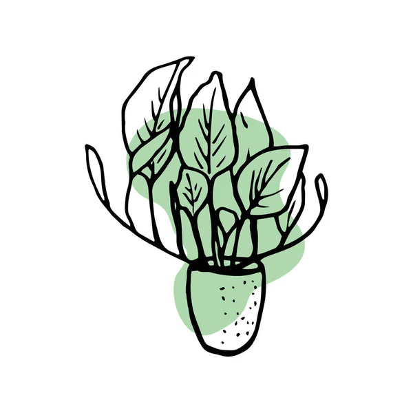Домашние иконы растений. Линейная иллюстрация художественных линий и мазков. Внутреннее растение в каракулях и мультяшном стиле. Домашний дизайн. Векторный рисунок — стоковый вектор