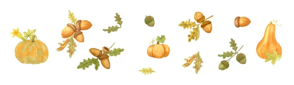 Aquarel herfstset met pompoenen, eiken bladeren en eikels. Ontwerp voor stickers, iconen, briefpapier, ansichtkaarten en banners. — Stockfoto