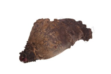 Pancar beyaz arkaplanda izole edildi