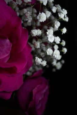 Gül çiçekleri, mesajlaşma yeri, tatiller için gül hediyesi, geçmiş. Seçici odaklanma. Siyah arka planda güller. Bir buket gül. Arkaplan.