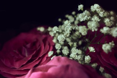 Gül çiçekleri, mesajlaşma yeri, tatiller için gül hediyesi, geçmiş. Seçici odaklanma. Siyah arka planda güller. Bir buket gül. Arkaplan.