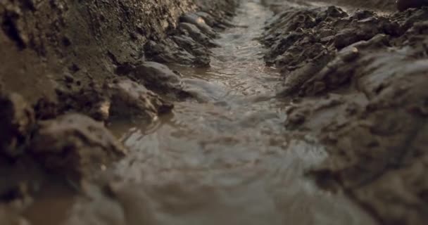 小川は車から出ています 水の泥ストリーム 春の天気 森林公園の洪水 4K選択フォーカス — ストック動画