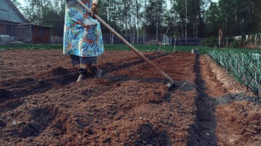 Pürüzsüz tarla ve tohumlu. Çiftlik arazisi. Uzun yataklar. Verimli topraklar, ülke ekonomisi, araziye kur yapmak. hasat