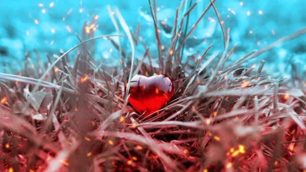 Červené Srdce Leží Trávě Tráva Červené Pozadí Tyrkysové Vzduchu Létají — Stock fotografie