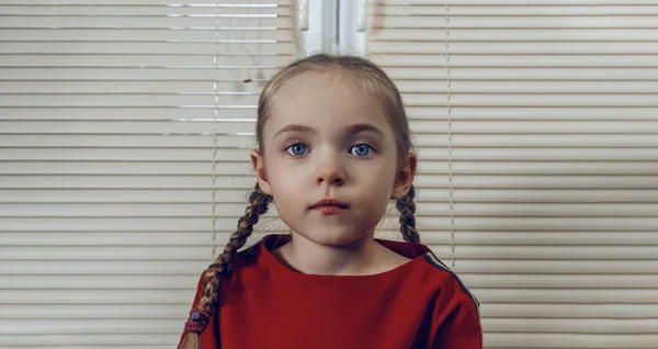 Ένα Κοριτσάκι Κοτσίδες Και Μπλε Μάτια Φαίνεται Στρέιτ Φόντο Blinds Εικόνα Αρχείου