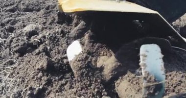 Agriculture, farming, cultivating soil. Working with the land in the garden and garden. Processing arable land, for agricultural vegetables and fruits. Selective soft focus.