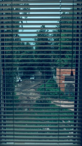 Vista Janela Através Das Cortinas Estrada Carros Árvores Edifícios Céu — Fotografia de Stock