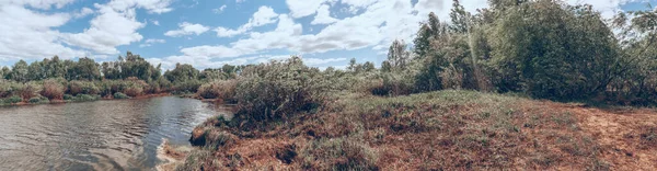 Vista Del Río Verano Los Bordes Orillas Muchos Arbustos Matorrales — Foto de Stock