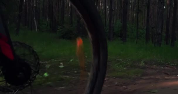 Cykla Skogen Sporta Promenera Parken Kameran Kör Längs Grusvägen Långsamma — Stockvideo