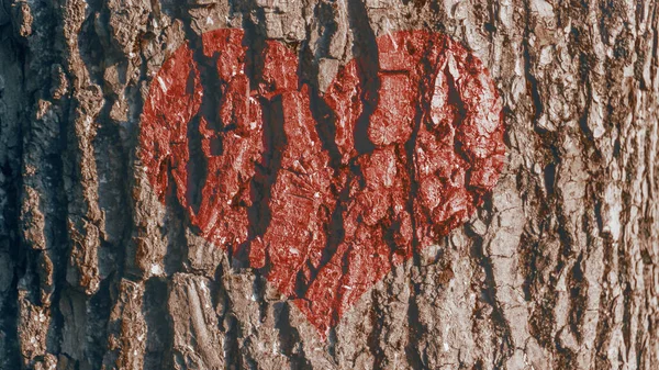 Corteza Texturizada Del Árbol Representa Corazón Rojo Amor Por Naturaleza —  Fotos de Stock