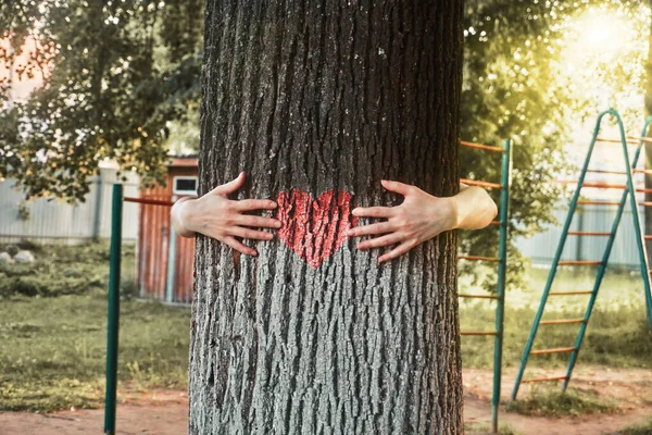 Zomer zonnige dag, boomstam met een rood hart, handen knuffelen een boom, speeltuin — Stockfoto