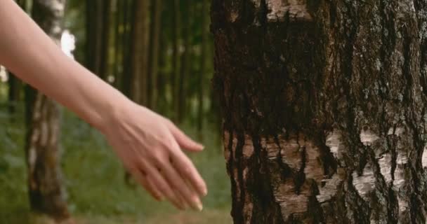 Ένα Κορίτσι Λευκό Τοίχο Και Ροζ Τζιν Αγγίζει Ένα Δέντρο — Αρχείο Βίντεο
