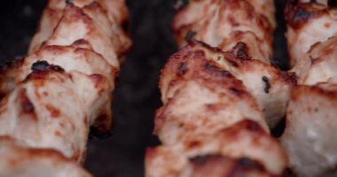 Tavuk kebabı ızgarada kızartılır, et parçaları şişte pişirilir. Sokakta et pişiriyorum.