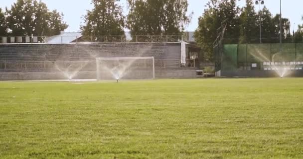 Vodní Tráva Zahrada Zeleninová Zahrada Fotbalové Hřiště Automatický Zavlažovací Systém — Stock video