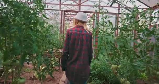 Girl Gardener Goggles Gloves Hat Checks Quality Vegetables Plants Greenhouse — Stock Video