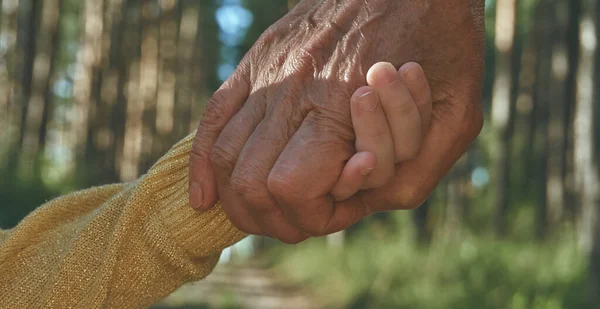 Deux personnes se tiennent la main, la génération de plus en plus âgée, la grand-mère et la petite-fille se tenant la main. Promenade dans le parc à l'air frais Images De Stock Libres De Droits