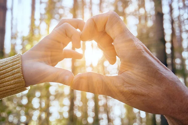 Twee handen van verschillende leeftijden tonen een symbool van het hart. De achtergrond heeft een wazige achtergrond en felle zon. Verschillende generaties mensen, grootmoeder en kleindochter — Stockfoto