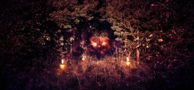 Noel ağaçları ve huş ağaçlarıyla dolu sık bir orman ağaçların arasındaki patikada parlayan gözleri ve ağzı olan bir balkabağı, Cadılar Bayramı, sis ve sis var. Korkunç bir Cadılar Bayramı gecesi..