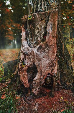 Ormanda büyük bir kütük. Gözlerin baktığı ağaç gövdesinde. Çam ormanında sihirli bir kütük. Yumuşak seçici odak.